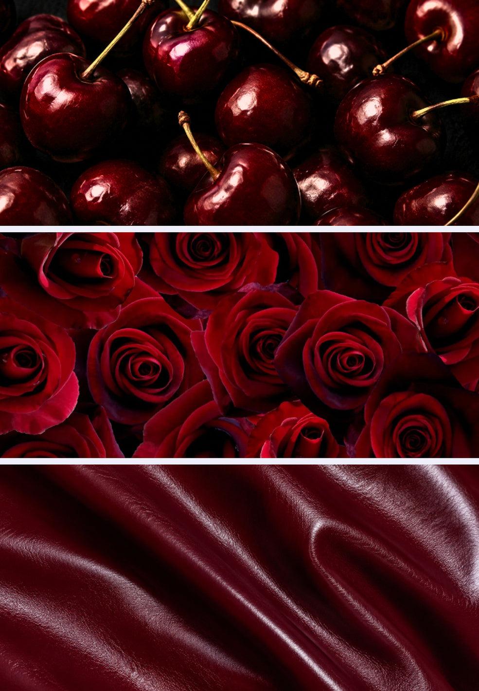 Rock 'n Rose Eau de Parfum