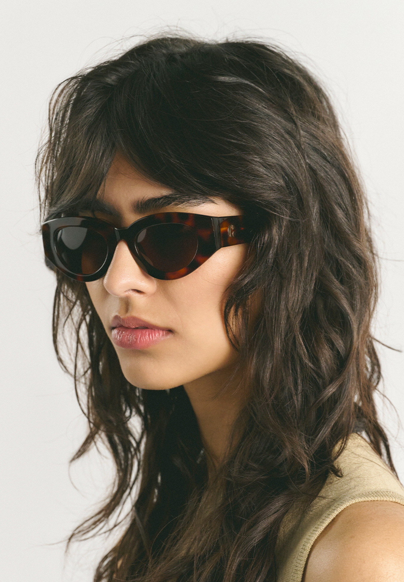 Ines Brown Brown Sunglasses