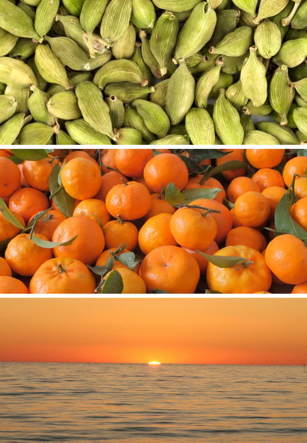 Mandarin Solaire Eau de Parfum